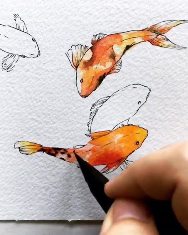 640x800 koi fish tumblr koi in art, art inspo, watercolor fish - Koi Fish Drawing Tumblr