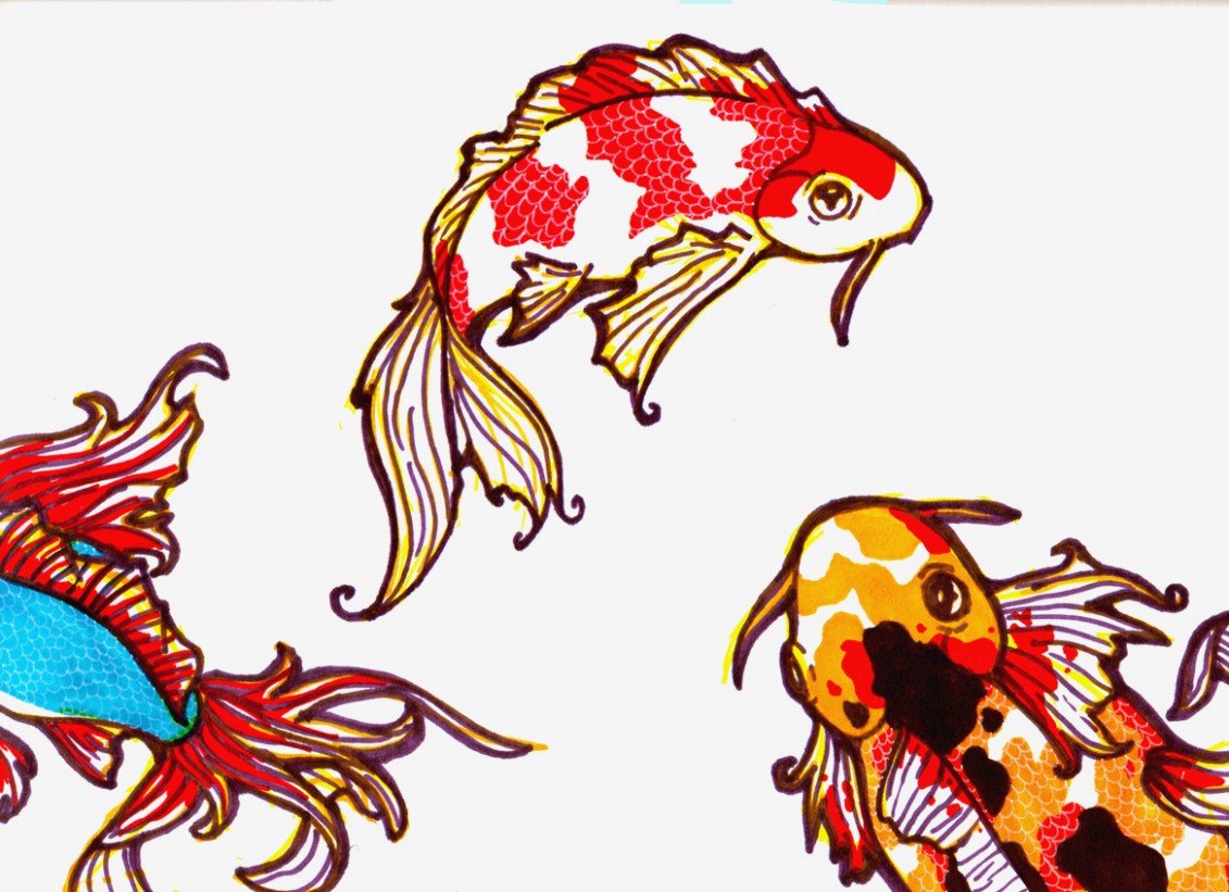 1131x821 Koi Fish Drawings Tumblr Archives - Koi Fish Drawing Tumblr