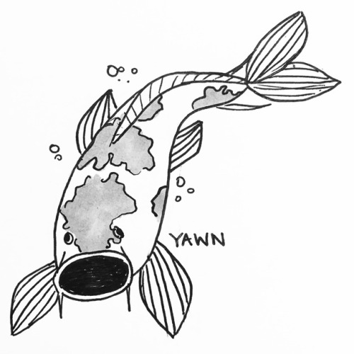 500x500 Prompt S Draw An Animal - Koi Fish Drawing Tumblr