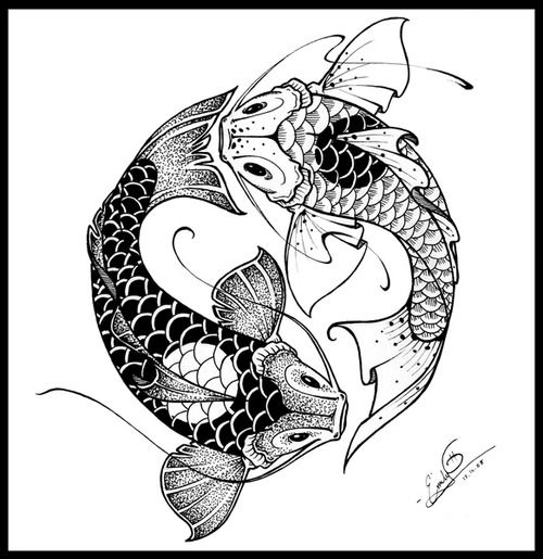 500x515 Drawn Koi Skin - Koi Fish Drawing Tumblr