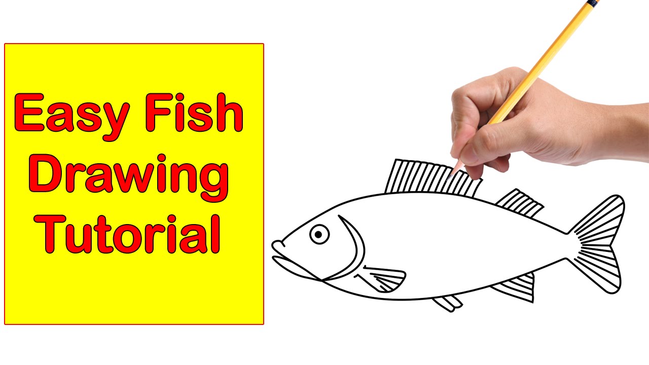 1280x720 Easy Fish Drawings Drawing Tutorial How To Draw A Step - Koi Fish Drawing Tutorial