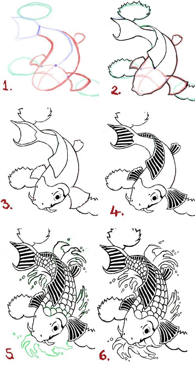 653x1224 Easy Koi Fish Drawings - Koi Fish Drawing Tutorial