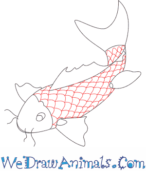 300x350 How To Draw A Koi Fish - Koi Fish Drawing Tutorial