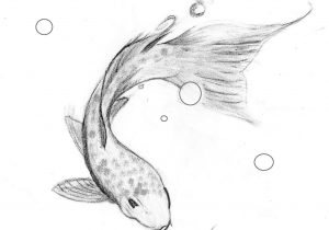 300x210 koi fish pencil sketch yin yang koi fish - Koi Fish Drawing Tutorial