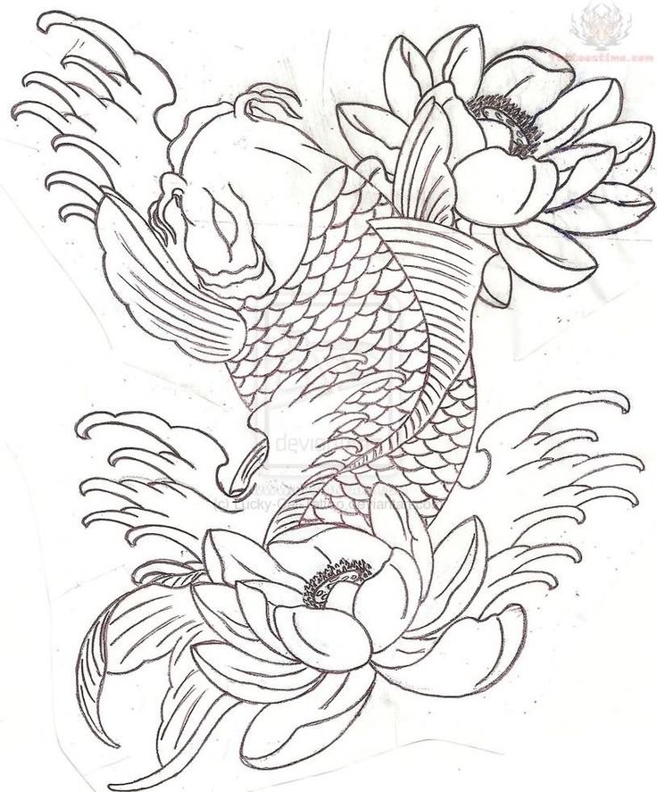 736x887 koi fish line drawing at com free for personal use k on koi fish - Koi Fish Line Drawing