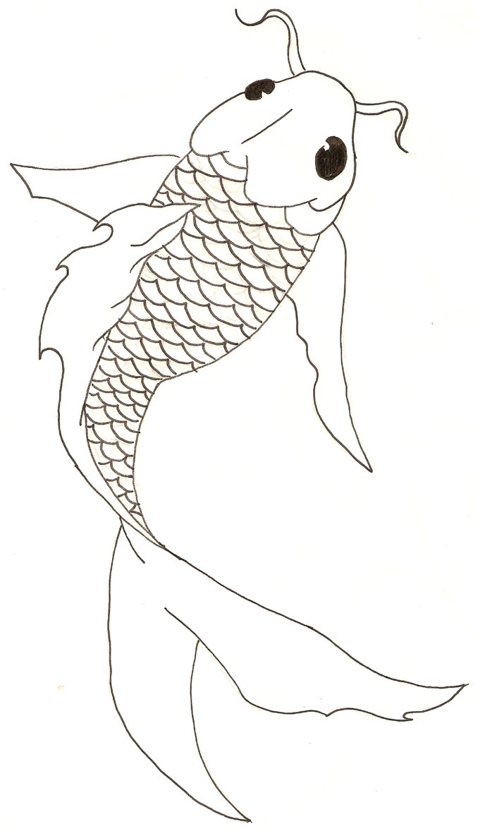678x1178 Koi Lineart Free Download - Koi Fish Line Drawing