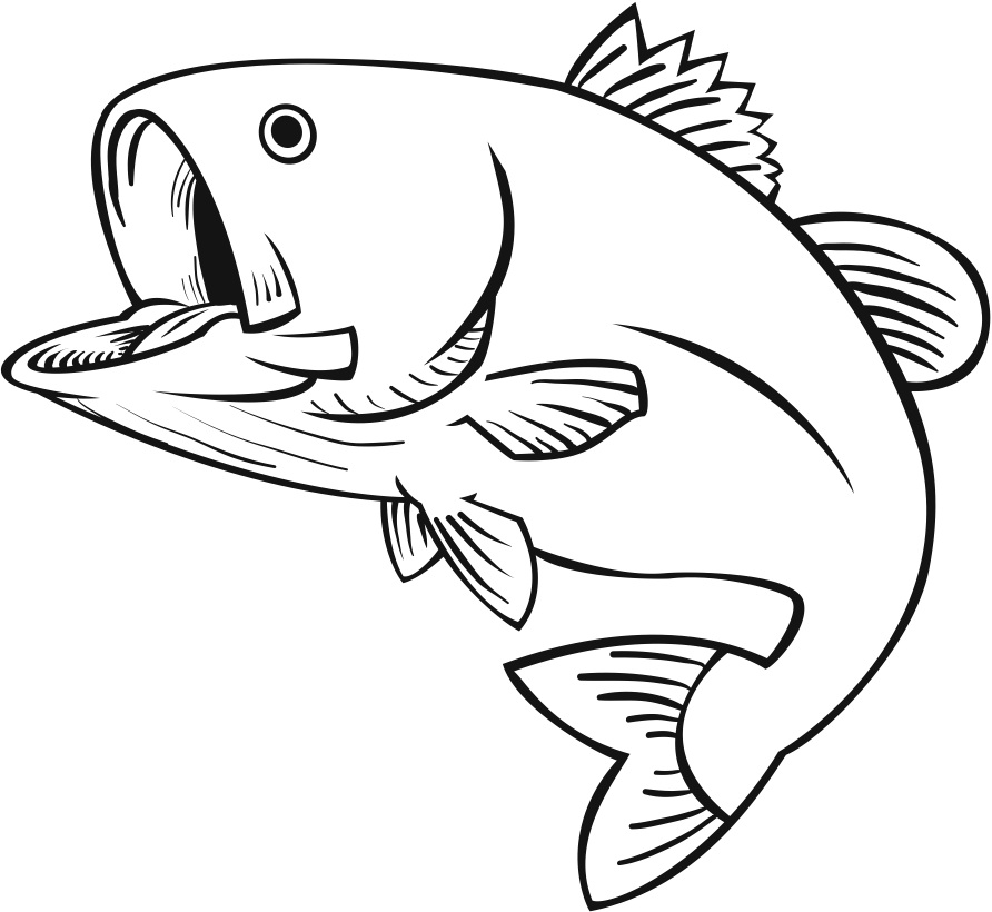 892x820 Line Drawing Fish Of At Getdrawings Com Free For Personal Use - Koi Fish Line Drawing