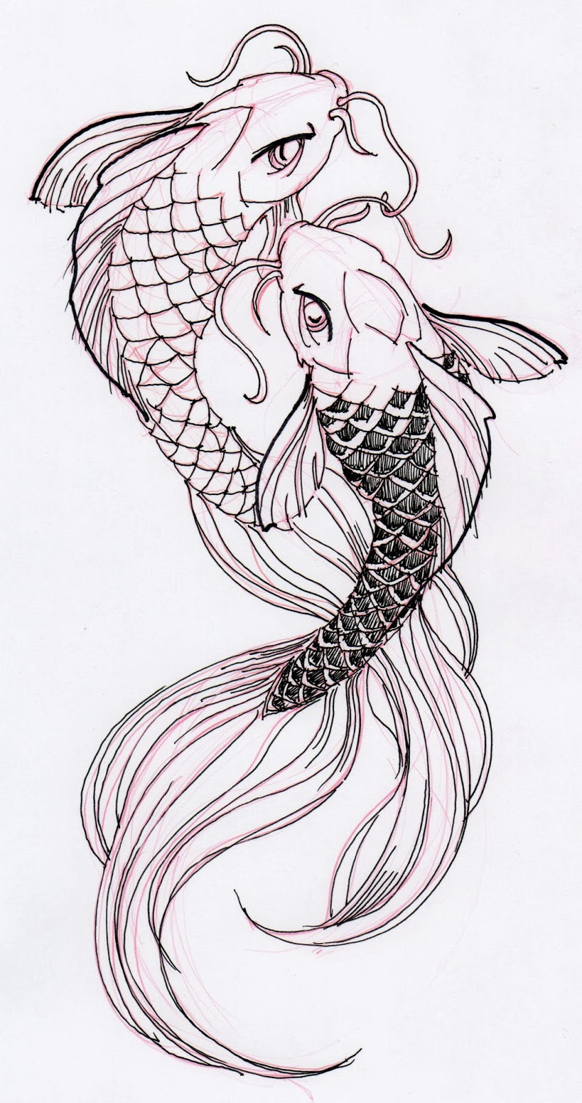 Skizze Bild Pencil Sketch Of Koi Fish
