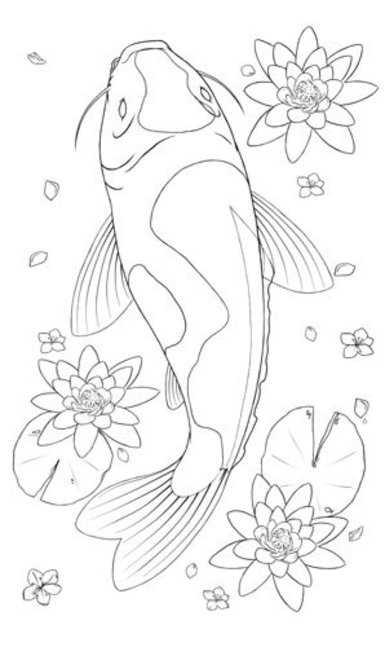 Koi Fish Line Drawing at PaintingValley.com | Explore ...