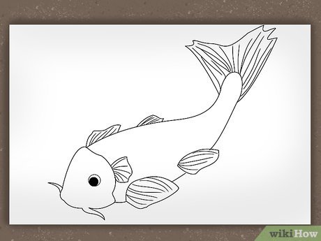 460x345 How To Draw A Koi Fish Steps - Koi Fish Outline Drawing