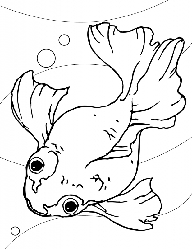 618x800 Koi Fish Outline Drawing To Coloring - Koi Fish Outline Drawing