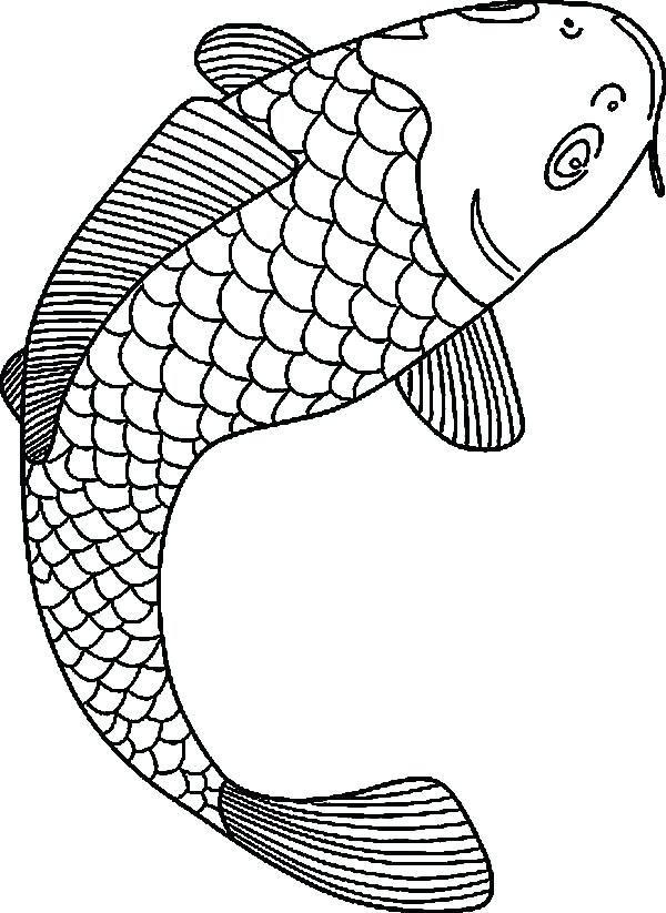 600x823 Template Origami Koi Fish Template Outline Drawn Carp Line - Koi Fish Outline Drawing