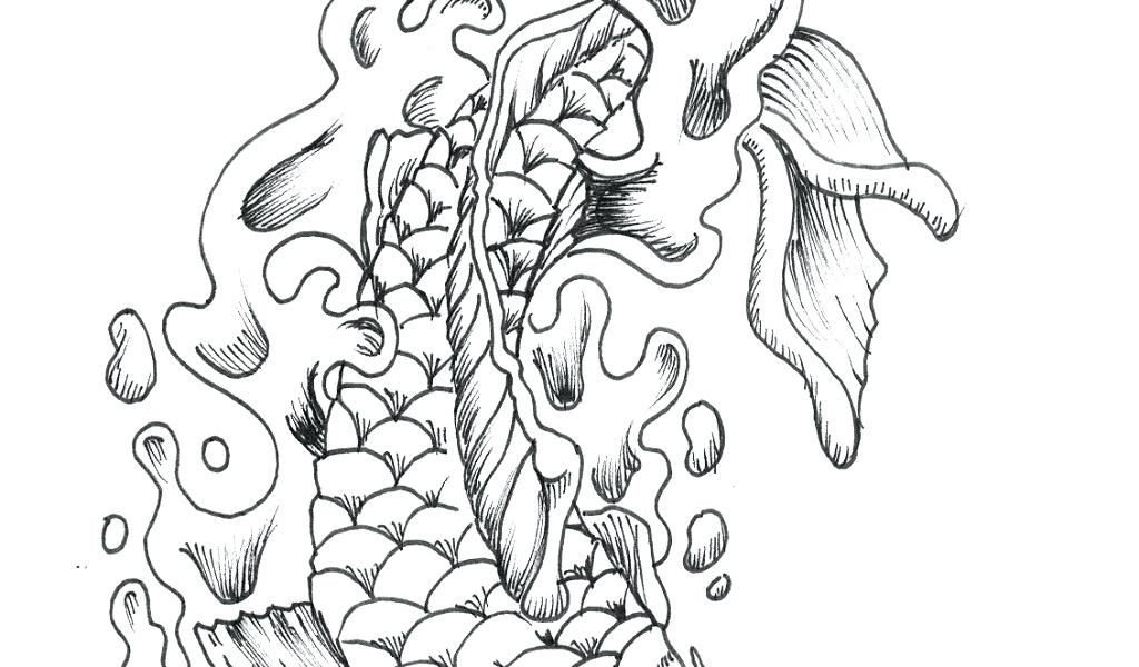 1024x600 fish outline cookie cutter model printable fish outline cookie - Koi Fish Outline Drawing