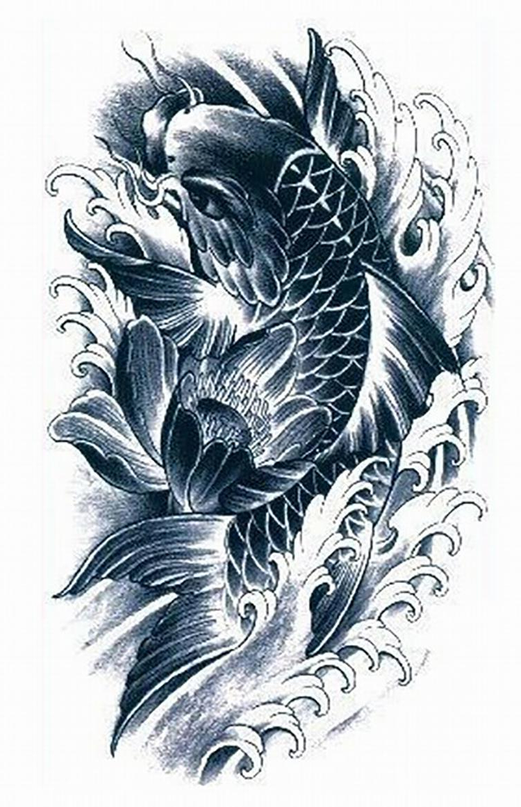 Koi Fish Outline Drawing at Explore collection of