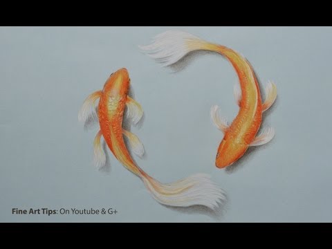 Koi Fish Pencil Drawing At Paintingvalley Com Explore Collection