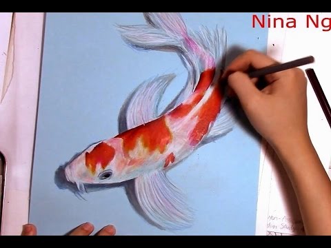 480x360 Art Drawing Koi Fish With Colored Pencil - Koi Fish Pencil Drawing