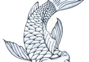 300x210 koi fish pencil drawing pencil sketches of fish pencil sketches - Koi Fish Pencil Drawing
