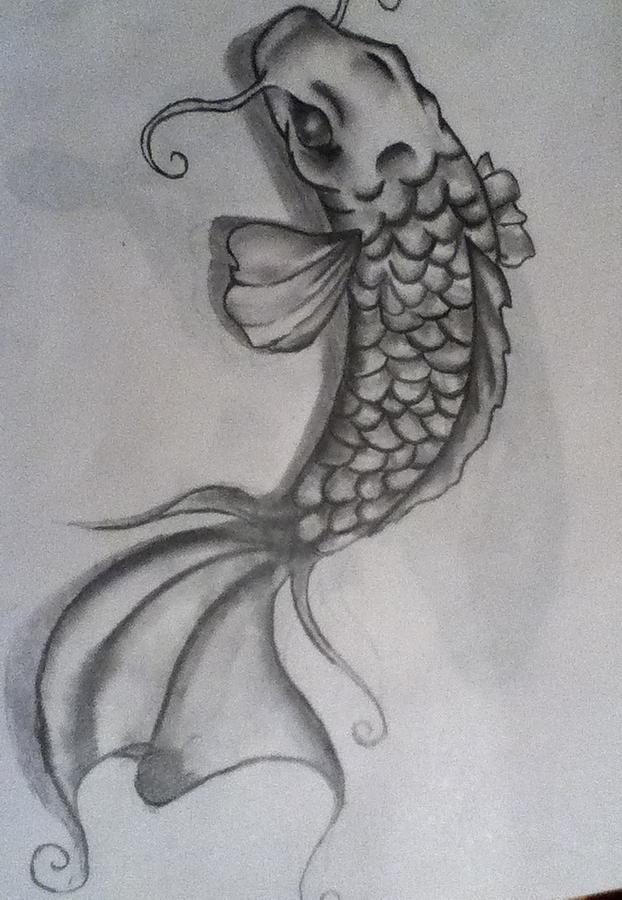 622x900 majestic fish drawing - Koi Fish Pencil Drawing