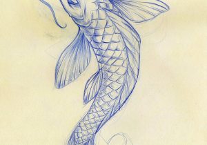 300x210 Women Fish Pencil Drawing Beautiful Fish Drawing At Getdrawings - Koi Fish Pencil Drawing