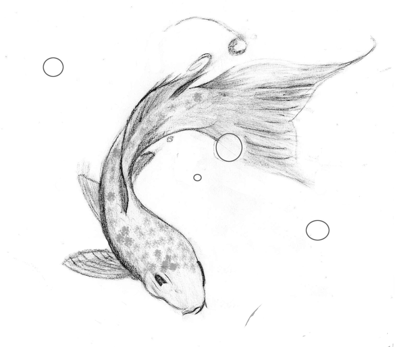 1592x1393 easy koi fish drawing japanese koi fish sketches - Koi Fish Pencil Drawing