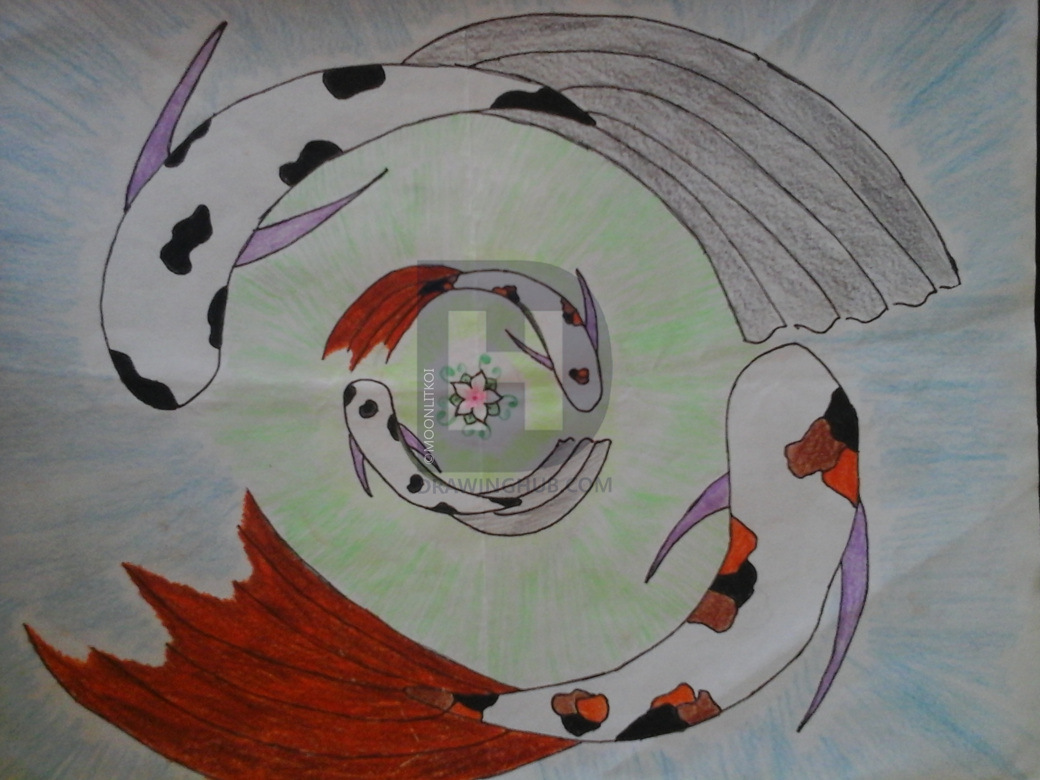 2048x1536 Koi Fish Pond Drawing - Koi Fish Pond Drawing