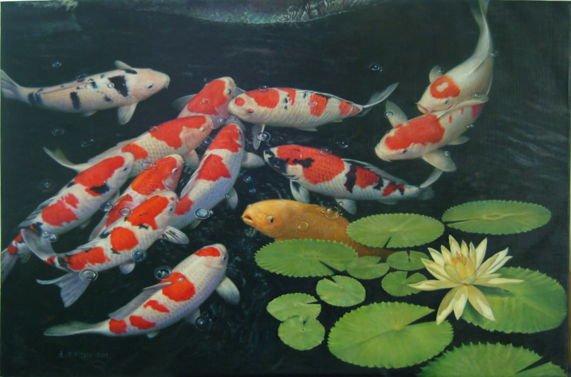 1908x1260 Koi Fish Pond Wallpapers - Koi Fish Pond Drawing