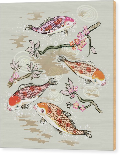 479x618 Koi Fish Swimming In Pond - Koi Fish Pond Drawing