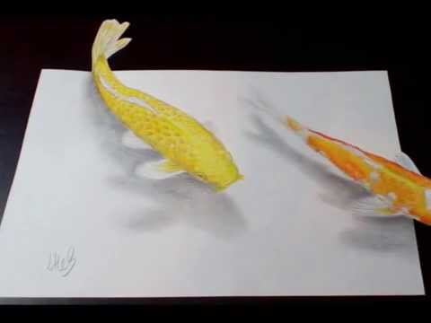 480x360 Koi Pond - Koi Fish Pond Drawing