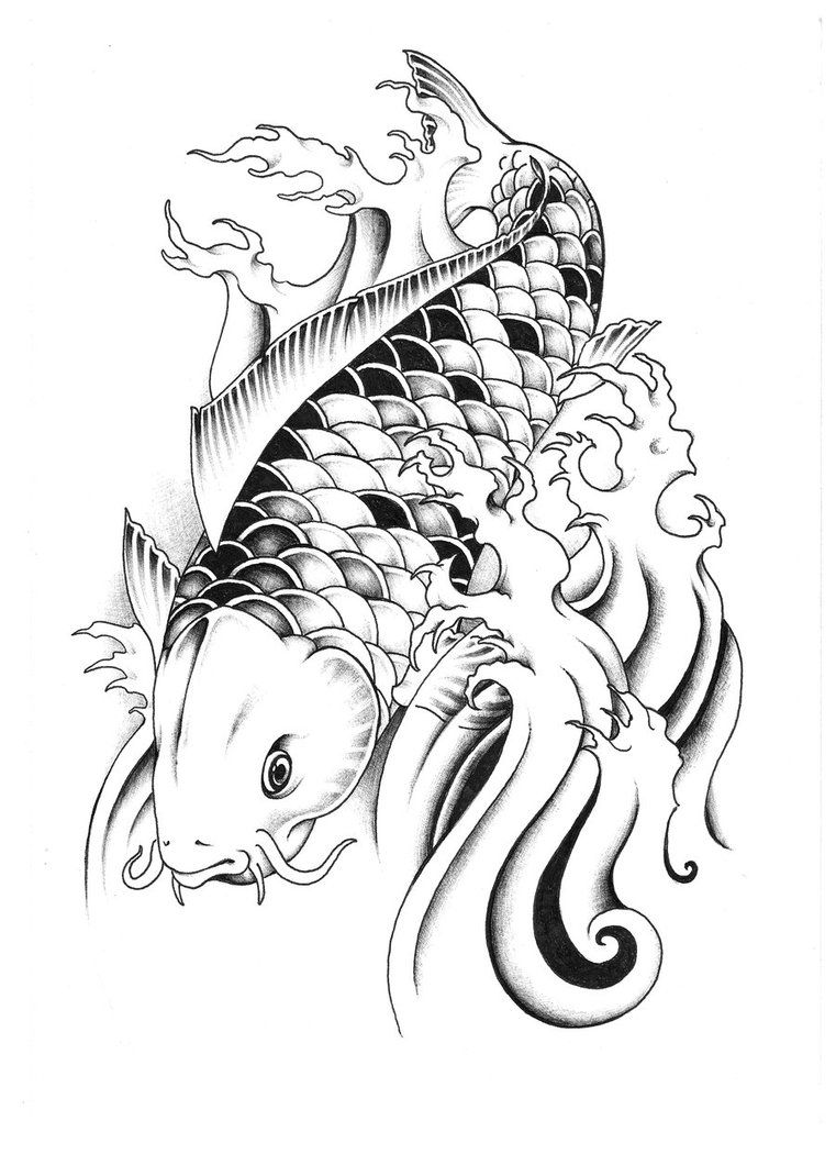 761x1050 Koi Fish Tattoo Designs With Meanings - Koi Fish Tattoo Drawing Design