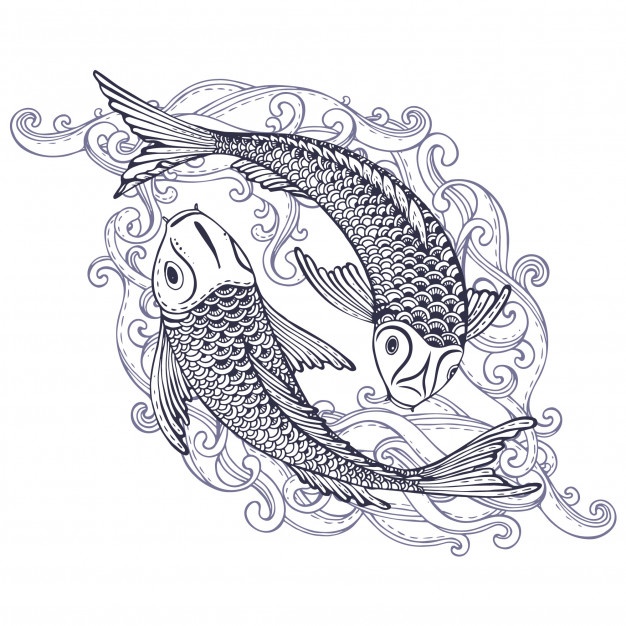 626x626 Koi Vectors, Photos And Free Download - Koi Line Drawing
