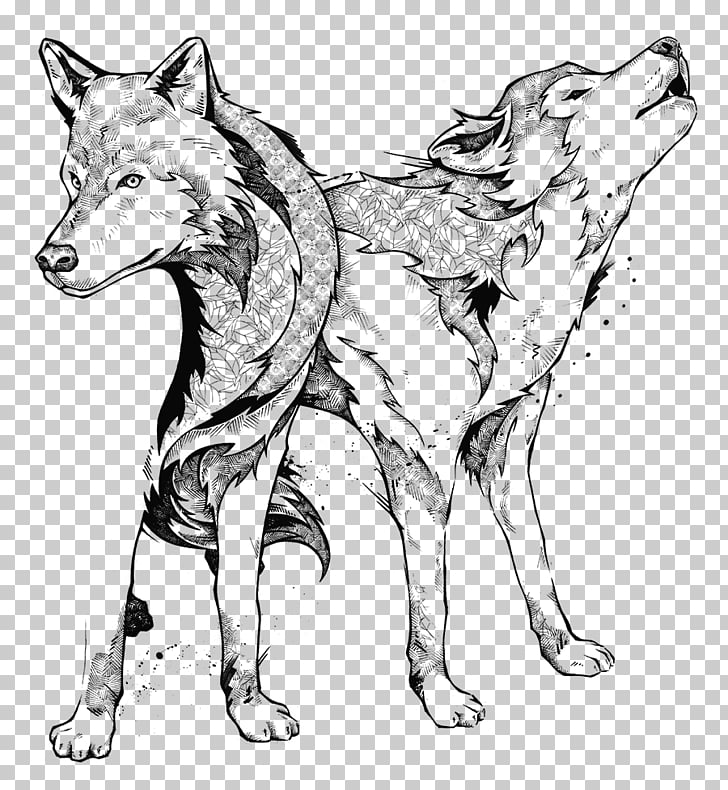 728x790 Line Art Drawing Black And White Gray Wolf, Watercolor Koi Png - Koi Line Drawing