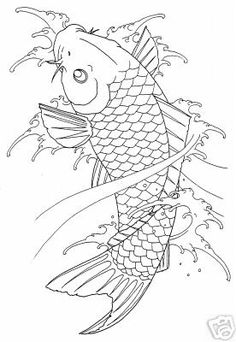 236x342 Photos Line Drawings Of Koi Fish - Koi Line Drawing