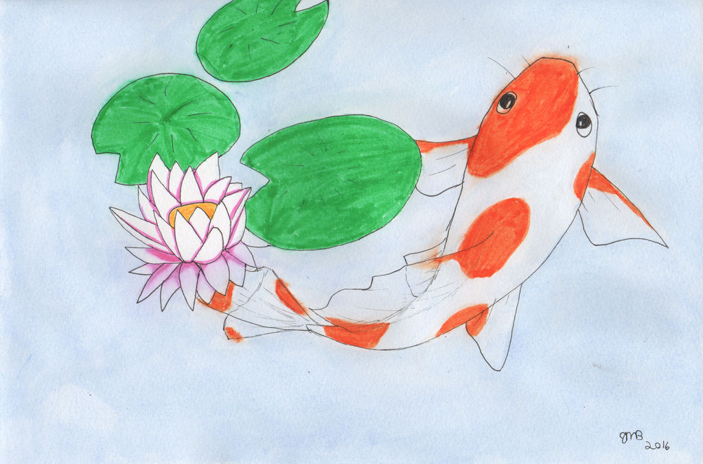 1024x677 Koi Pond Drawing - Koi Pond Drawing