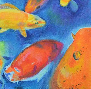 300x291 Koi Pond Drawings Pixels - Koi Pond Drawing