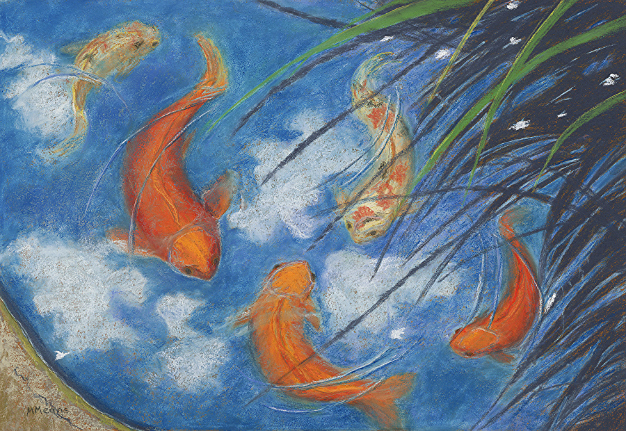 900x620 Marilee Means - Koi Pond Drawing