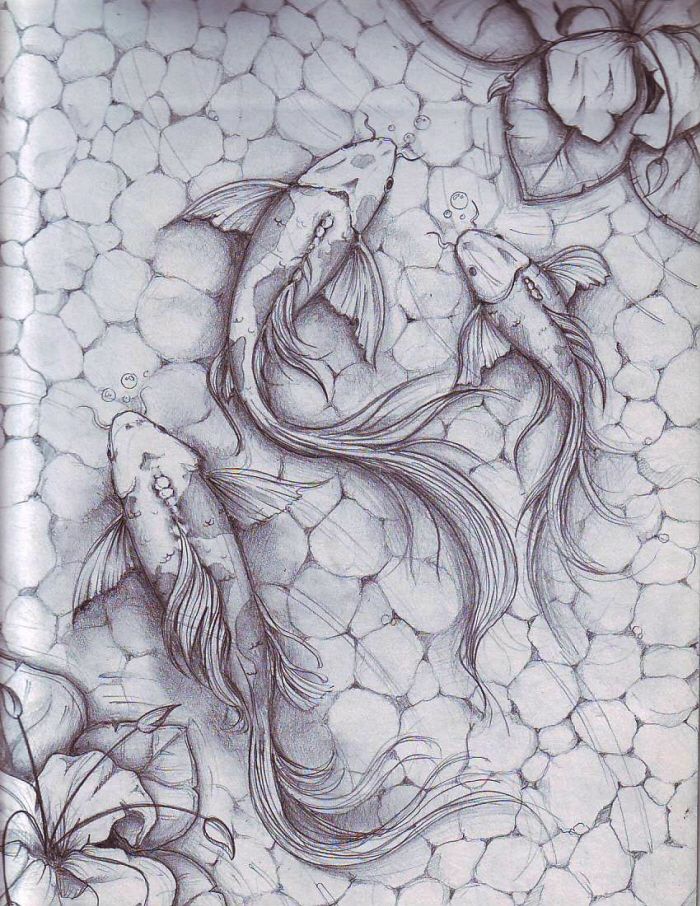 700x906 Koi Fish - Koi Pond Drawing