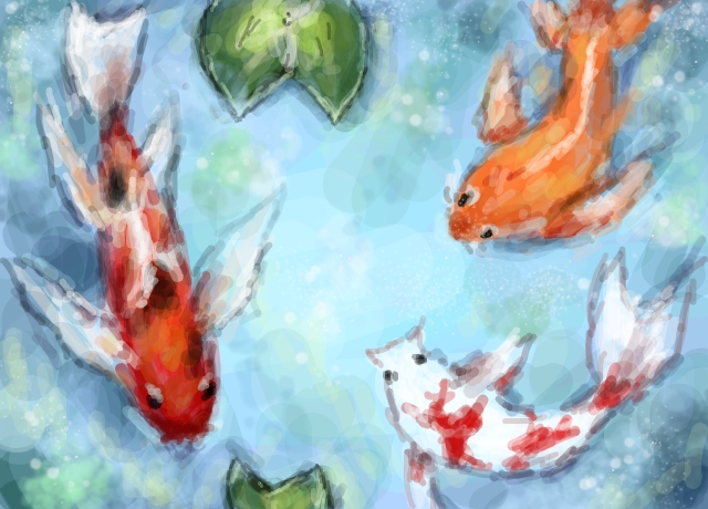 640x460 Koi Pond - Koi Pond Drawing