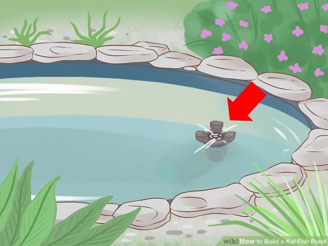 640x480 Drawn Koi Carp Pond Drawing - Koi Pond Drawing