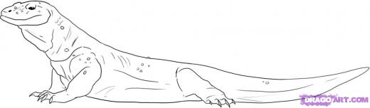 520x152 step learn how to draw a komodo dragon - Komodo Dragon Drawing