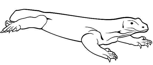 600x255 how to draw komodo dragon coloring pages - Komodo Dragon Drawing