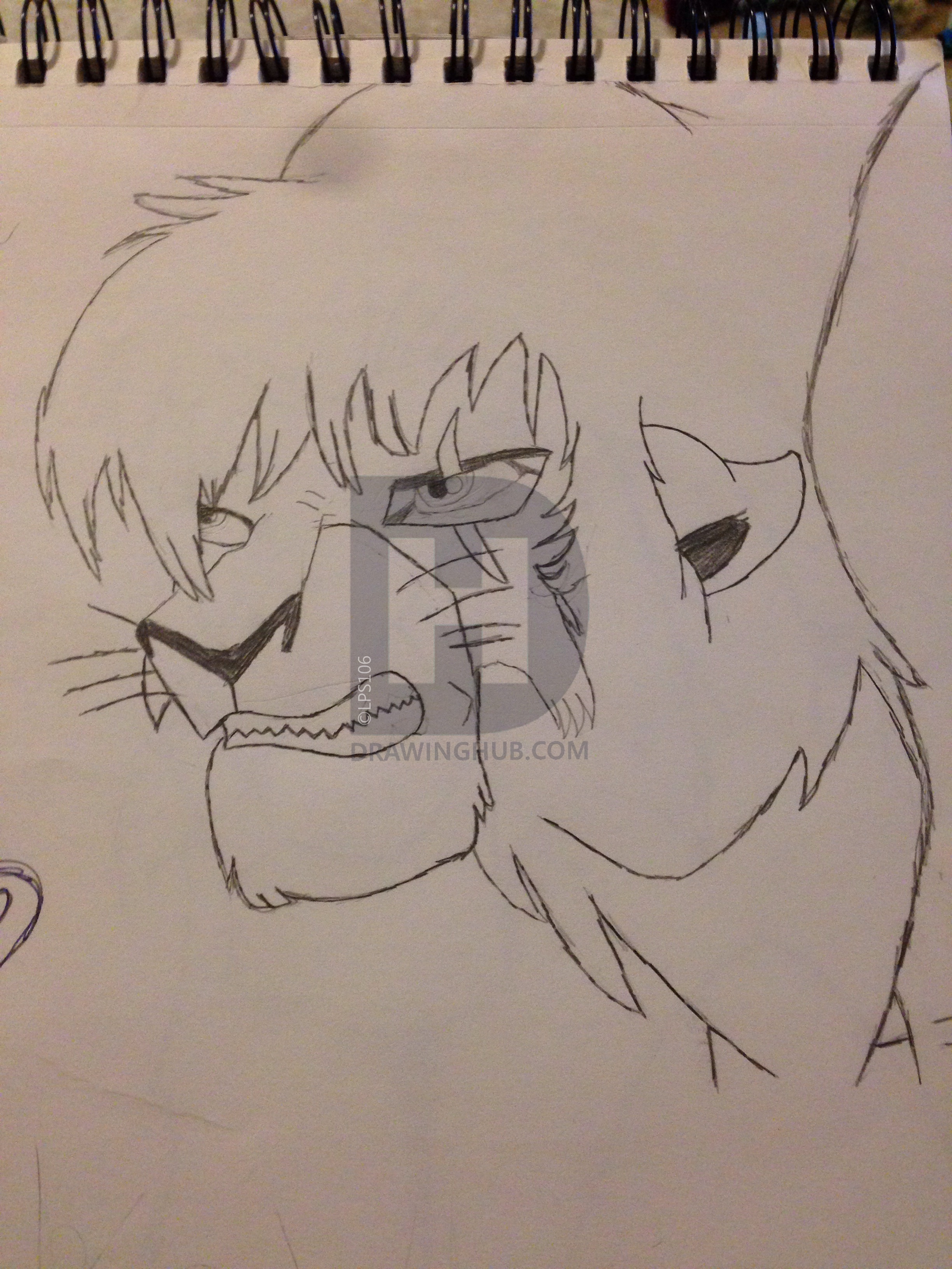 2448x3264 Kovu Drawing - Kovu Drawing