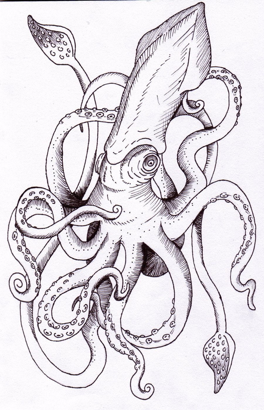 900x1395 Kracken - Kraken Drawing