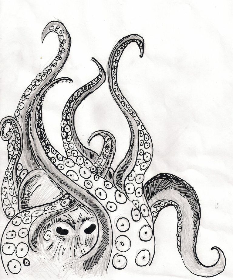 768x920 Kraken Drawing Simple For Free Download - Kraken Drawing