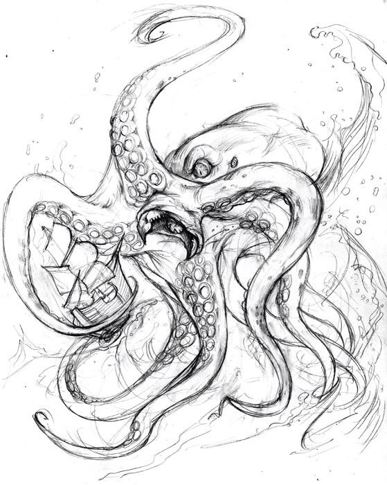 559x700 Kraken Matrosy, Moriaki Kracken Tattoo, Kraken Tattoo, Octopus - Kraken Drawing