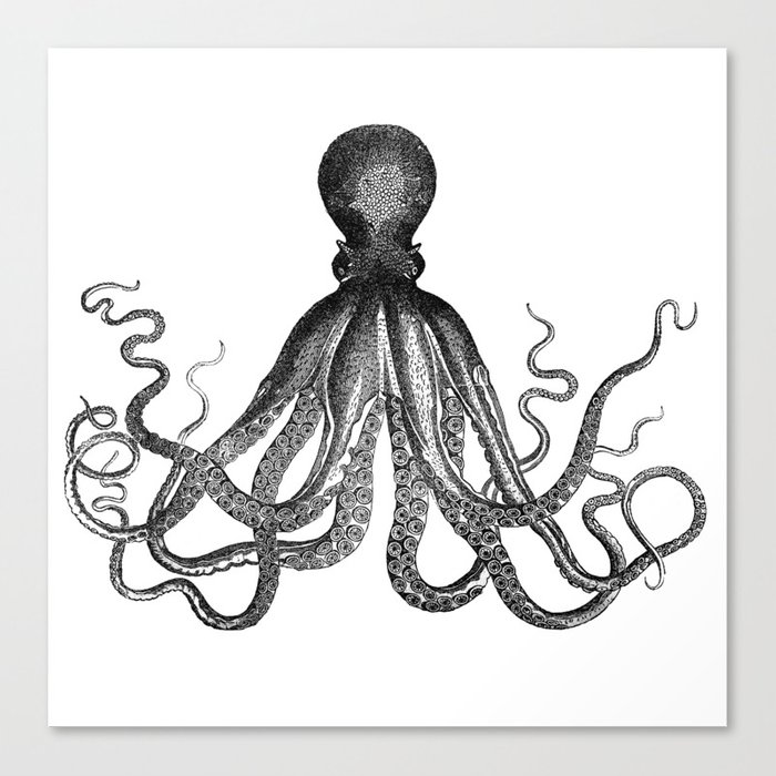 700x700 Antique Nautical Steampunk Octopus Vintage Victorian Kraken Sea - Kraken Drawing