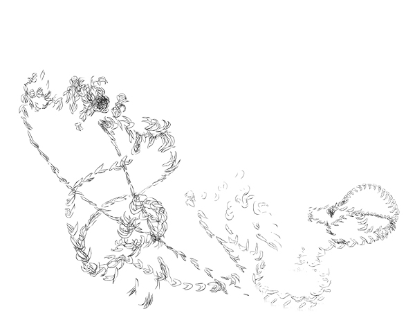 600x472 presentations - Krill Drawing
