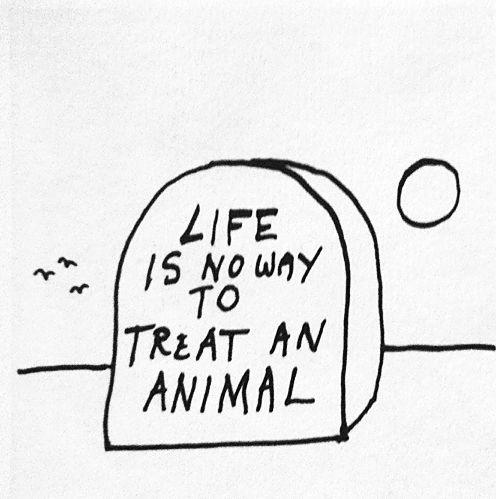 496x499 kurt vonnegut drawings - Kurt Vonnegut Drawings