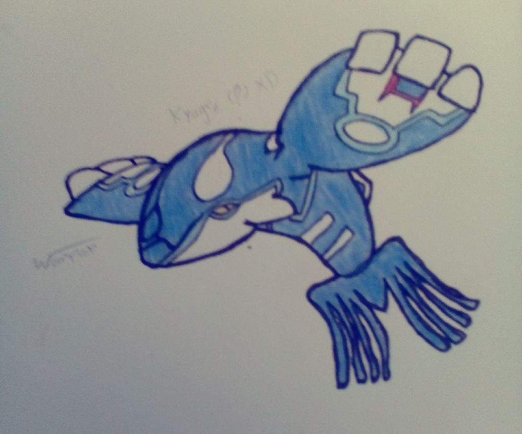 1024x852 First Time Drawing Primal Kyogre Amino - Kyogre Drawing