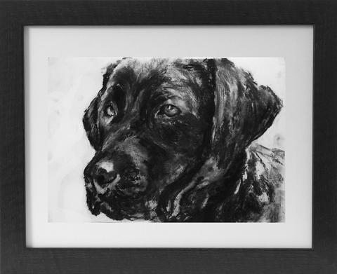 480x391 Labrador Charcoal Art Print Monochrome Black And White Lab Dog - Lab Dog Drawing