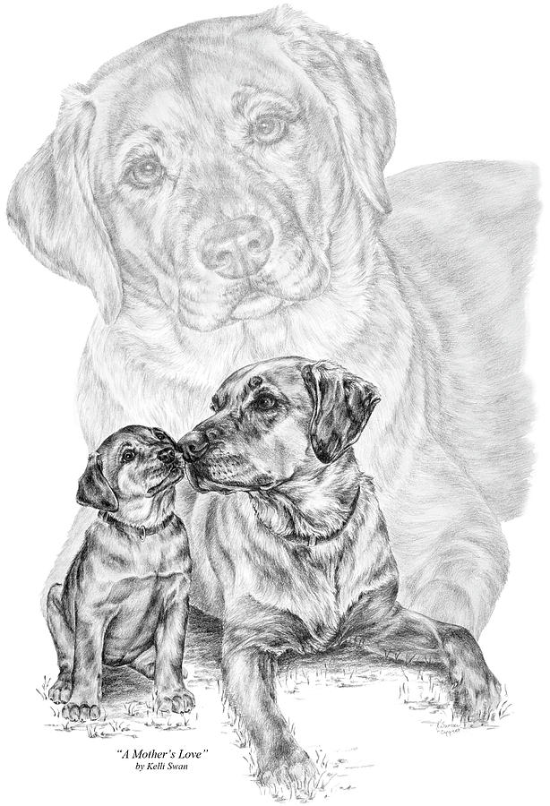 614x900 Mother Labrador Dog And Puppy Drawing - Lab Dog Drawing